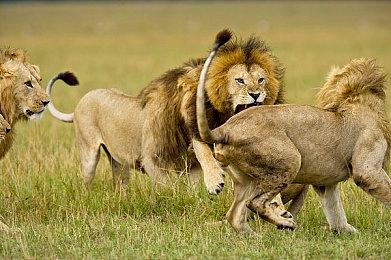 《神秘海域：失落遗产合集》通过ESRB分级 或于TGA颁奖典礼公开发售日